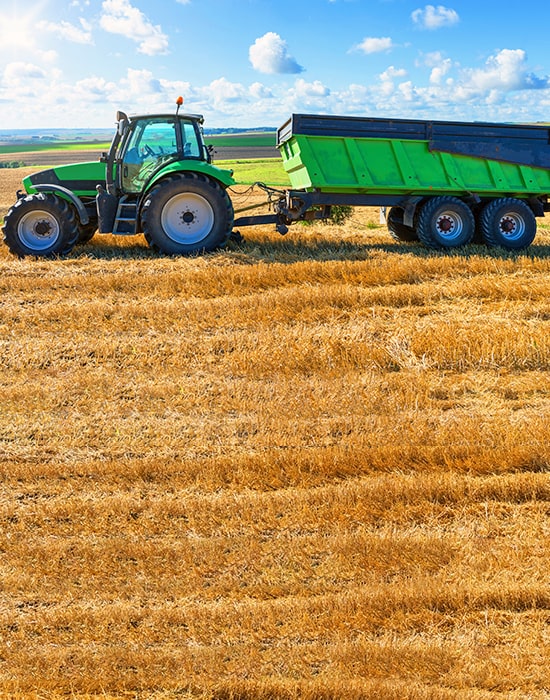 Agriculture and Farming