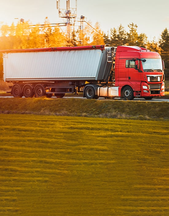 Construction and Landscaping